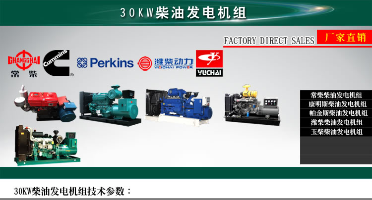 30KW柴油发电机组