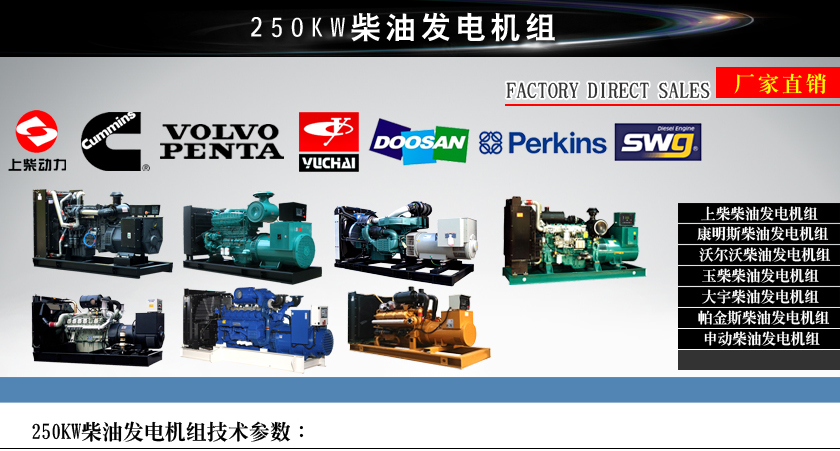 250KW柴油发电机组